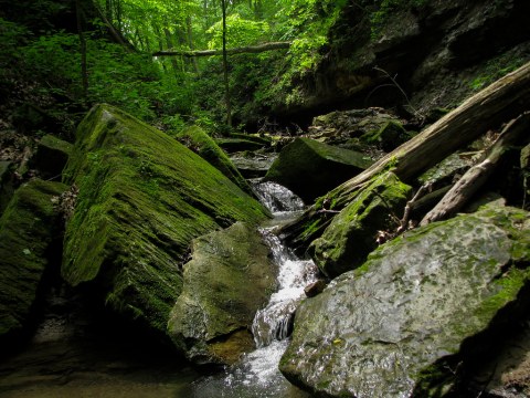 Hiking At Shades State Park In Indiana Is Like Entering A Fairytale