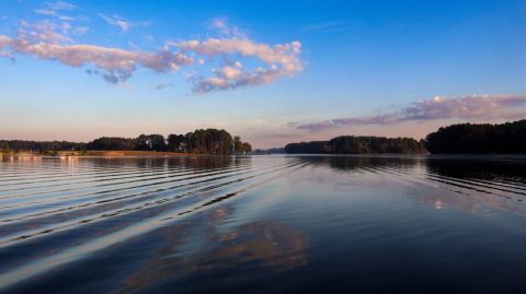 Some Of The Cleanest And Clearest Water Can Be Found At Georgia's Lake Sinclair