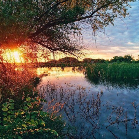 Enjoy An Easy And Beautiful Loop Through Kansas Nature At Rocky Pond Trail