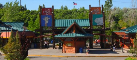 Utah's Hogle Zoo Is Full Of Furry Faces, And They're Ready To Say Hello This Spring