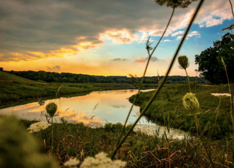 The Tranquility Of Maple Lake In Illinois Is The Ultimate Paradise