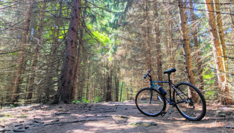 Fort Custer Recreation Area Is A 3,000-Acre Oasis For Michiganders Who Love The Great Outdoors