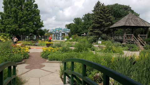 The W.J. Beal Botanical Garden In Michigan Is A Whimsical Gem Hidden In Plain Sight