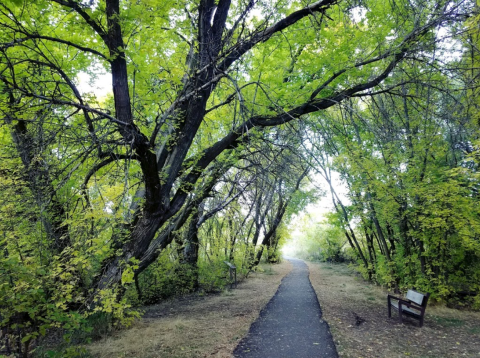 Hiking At Cherry Springs Nature Area In Idaho Is Like Entering A Fairytale