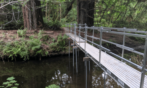 Hiking At Headwaters Forest Reserve In Northern California Is Like Entering A Fairytale