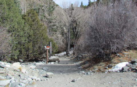 The Hike To This Pretty Little Colorado Waterfall Is Short And Sweet