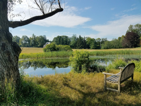 Strolling Through Doyle Community Park In Massachusetts Is Like A Scene From A Storybook