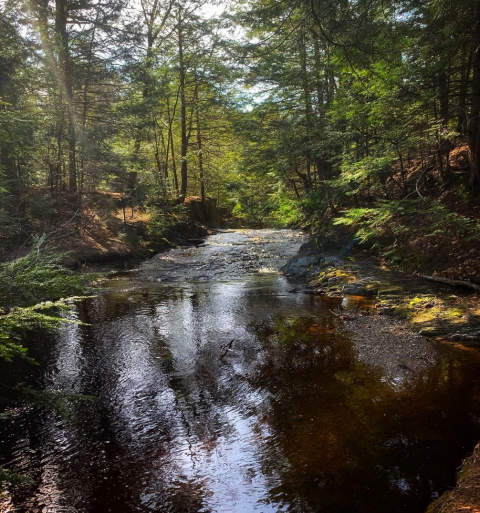 The Lush Forest Trails Through Cascade Falls In Maine Will Give You Respite From Stress