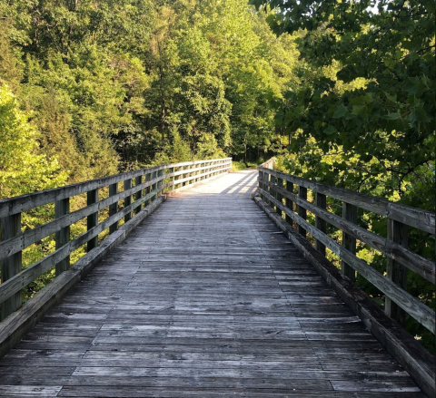 Hike To A Remote Forest Gorge On The Guest River Trail, A Secluded Virginia Adventure