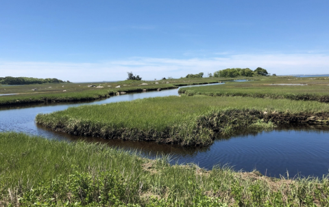 Wander Along A Gorgeous Saltwater Marsh At Barn Island Wildlife Management Area In Connecticut