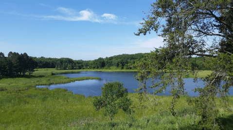 Hike Through Tamarac National Wildlife Refuge For The Chance To See Minnesota Animals Up Close