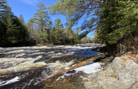 This Easy, 1.5-Mile Trail Leads To Mariaville Falls, One Of Maine's Most Underrated Waterfalls