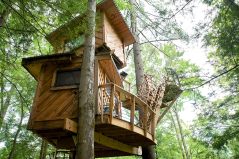 Sleep Underneath The Forest Canopy At The Observatory Treehouse In Kentucky