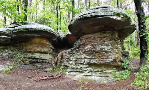 The Shawnee National Forest Is Home To The Most Dangerous Hikes In Illinois