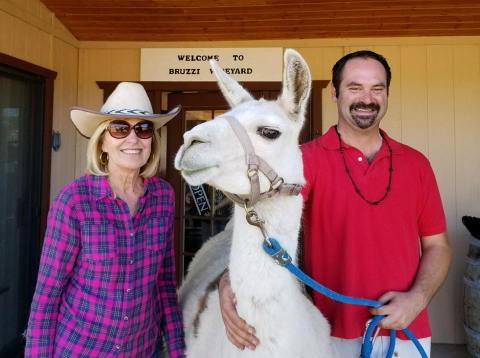 You Can Drink Wine With Llamas At Bruzzi Vineyard In Arizona