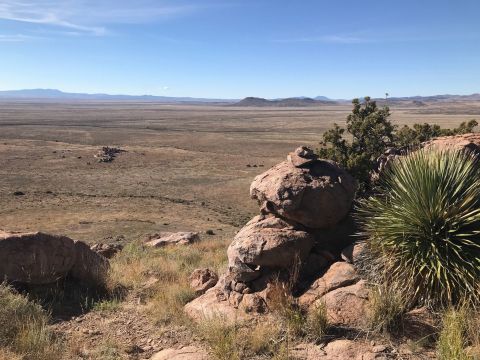 Explore Over 8 Miles Of Hiking Trails At City Of Rocks State Park in New Mexico