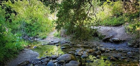 Plan A Visit To Santa Ynez Falls, Southern California's Beautifully Blue Waterfall