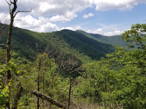 Hike The Historic Wagon Train Trail Surrounded By Lush Forest In Georgia's Brasstown Wilderness