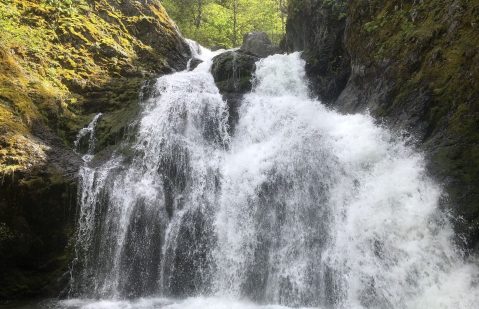 The Trail To Faery Falls Also Leads To An Abandoned Hot Spring Resort In Northern California