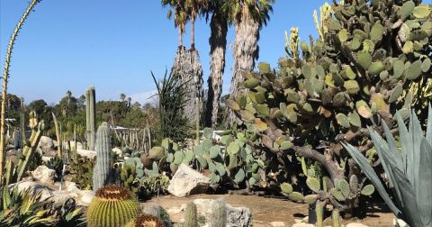 The Fairytale Garden In Southern California, South Coast Botanic Garden, Is Bursting With Colorful New Blooms