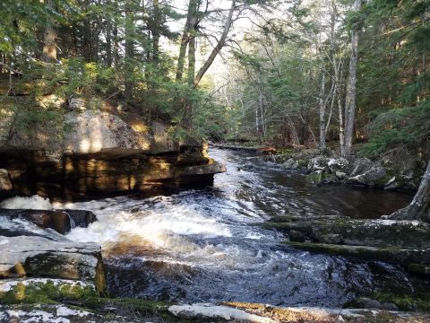 Cathance River Trail Is A Beginner-Friendly Waterfall Trail In Maine That's Great For A Family Hike