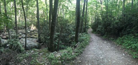 Meandering Alongside A Creek To A Beautiful Waterfall, Cascades National Recreation Trail In Virginia Is Bucket-List-Worthy