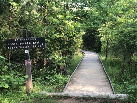 Explore The Pyrite Mine Ruins That Nature Has Reclaimed On This Forested Trail Through Virginia