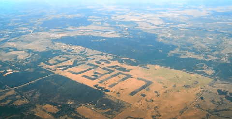 Luecke Farm In Texas Has A Three-Mile-Long Tree Signature That's Visible From Space