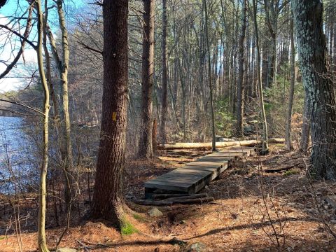 The Whitehall Reservoir Loop Trail Will Show You A Completely New Side Of Massachusetts