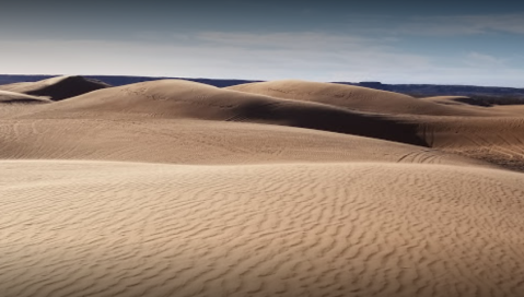 Experience One Of The Most Diverse Terrains In Oklahoma At Little Sahara State Park