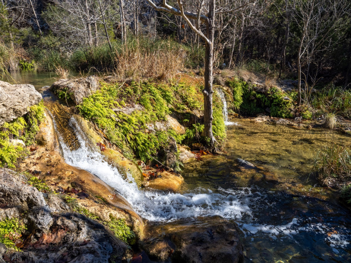 oasis at spicewood springs