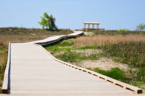 Follow A Sandy Path To The Waterfront When You Visit Headlands Beach State Park In Ohio