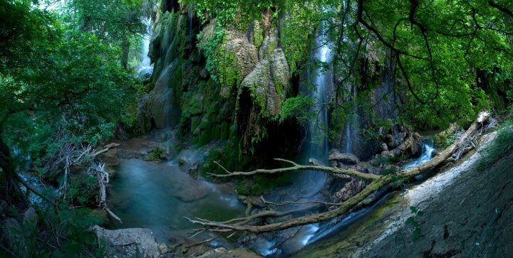 spicewood springs gorman falls