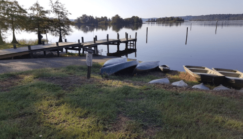 You'll Never Run Out Of Things To Do At Lake D'Arbonne State Park In Louisiana