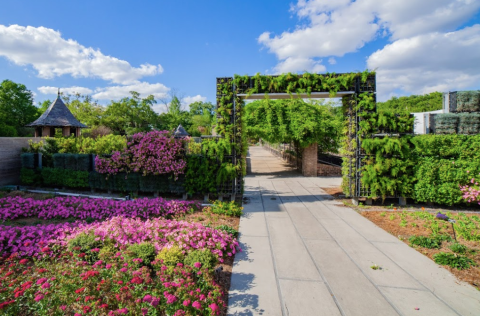 Relax In Over 2,000 Beautiful Blooms At The Botanical Garden In New Orleans