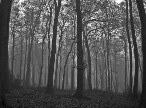 The Ghost Stories About Blue Mist Road In Pittsburgh Will Keep You Up At Night