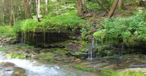 Here Are 7 New York Swimming Holes That Will Surely Make Your Summer Memorable