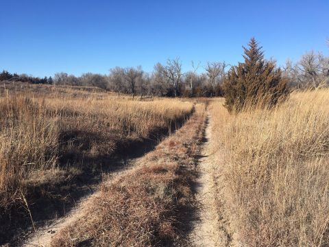 9 Kansas Pet-Friendly Trails You And Your Dog Can Hike Together