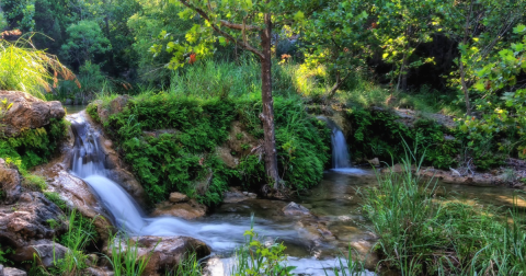 Take A Dip In Spicewood Springs In Texas For A Summer Adventure You Won't Soon Forget