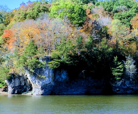 Walk Along Some Of The Oldest Trees In Iowa At Palisades-Kepler State Park