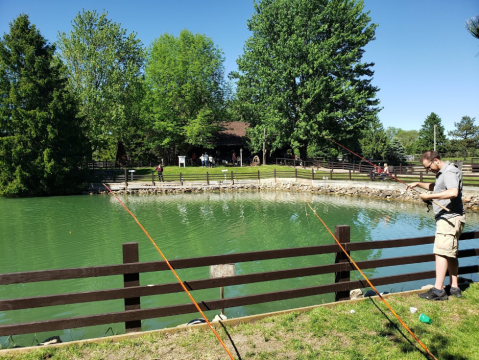 Spring Valley Trout Farm In Michigan Is The Most Wholesome Place To Spend A Summer Day