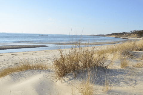 Follow A Sandy Path To The Waterfront When You Visit Kiptopeke State Park In Virginia