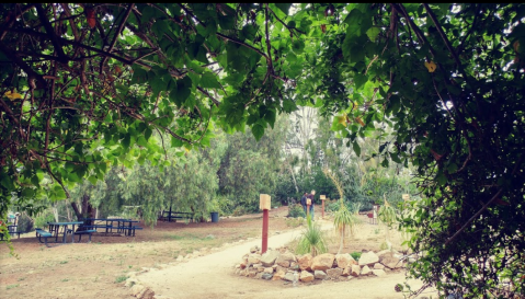 The Fairytale Garden In Southern California, Alta Vista Botanical Gardens, Is Bursting With Colorful Blooms