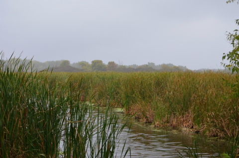 Take A Peaceful Hike Through Woods And Marshes At Palmer Lake, A 200-Acre City Park In Minnesota