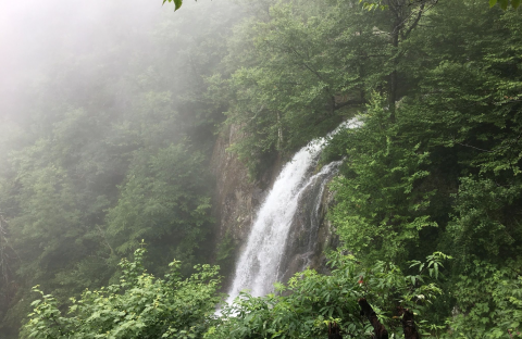 There’s A Secret Waterfall In Virginia Known As Lewis Falls, And It’s Worth Seeking Out