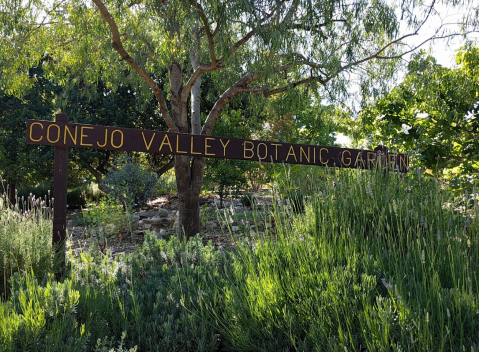 Step Into Another World When You Visit This Whimsical 34-Acre Botanical Garden In Southern California