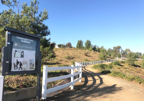 Some People Call This Eucalyptus Trail In Southern California A Little Slice Of Paradise