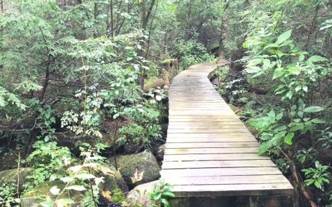 A 3-Mile Hiking Trail In Connecticut, The Sunnybrook State Park Loop Is Full Of Babbling Brooks