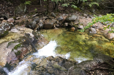 Swim At The Bottom Of A Waterfall After The 1.6-Mile Hike To Emerald Pool In New Hampshire