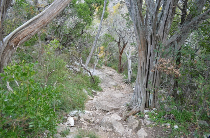 park at spicewood springs